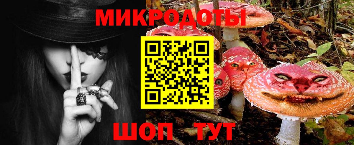 Галлюциногенные грибы Psilocybe Сергиев Посад